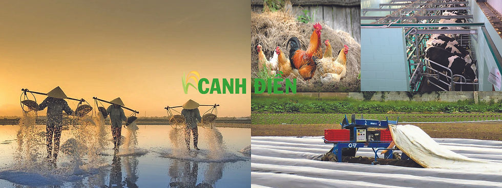 banner canhdien 1600x600.jpg