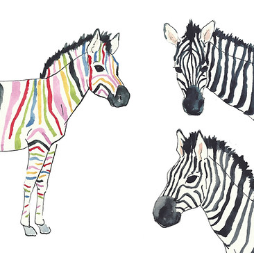 probka_zebra_08_02_front.jpg