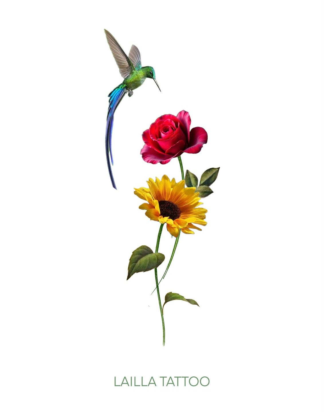 Girassol e rosa