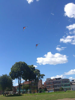 THREE KITES COLOMBIA