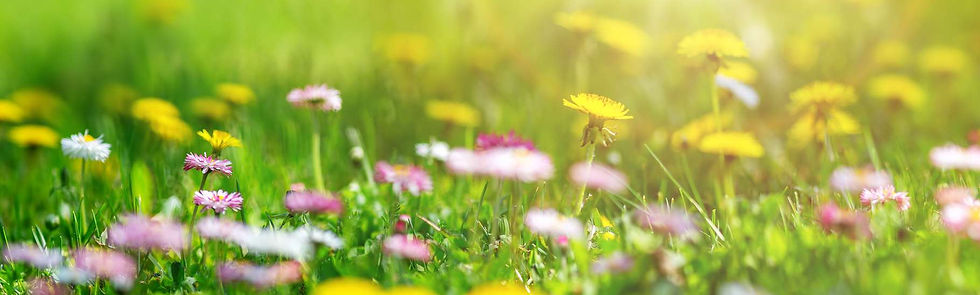 5c83afa3a4_50161489_equinoxe-printemps-tot.jpg