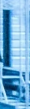 Screenshot 2025-06-07 at 3.21.46 PM copy.png