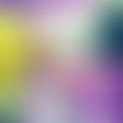 Journée internationale des droits de l'enfant