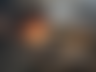 L' Eclissi del diritto: Cronaca dello smantellamento sistematico della Palestina