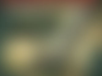 La Questione Palestinese e l' Ordine Internazionale