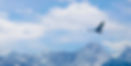 BG 4.jpg