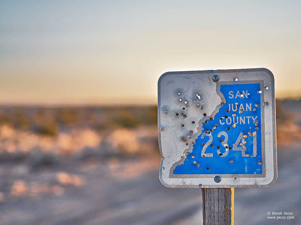 Thumbnail: Shotgun Sign 18x24