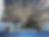 Thumbnail: Combo 30x60