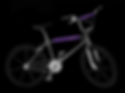 BOGARDE PURPLE 24" CRUISER