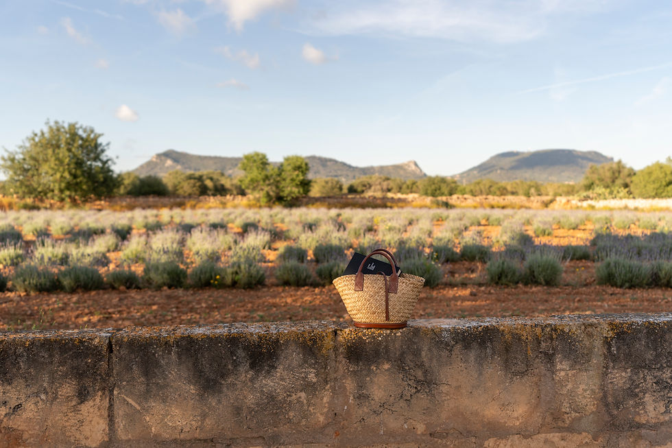 Hotel_Finca_-260.jpg
