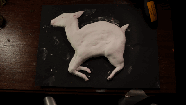 lamb1.gif
