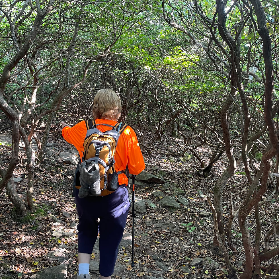 Kelly Hiking in Brasstown Wilderness