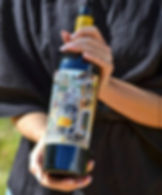 Vinho Tinto Meio Seco Português PORTA 6  750ML