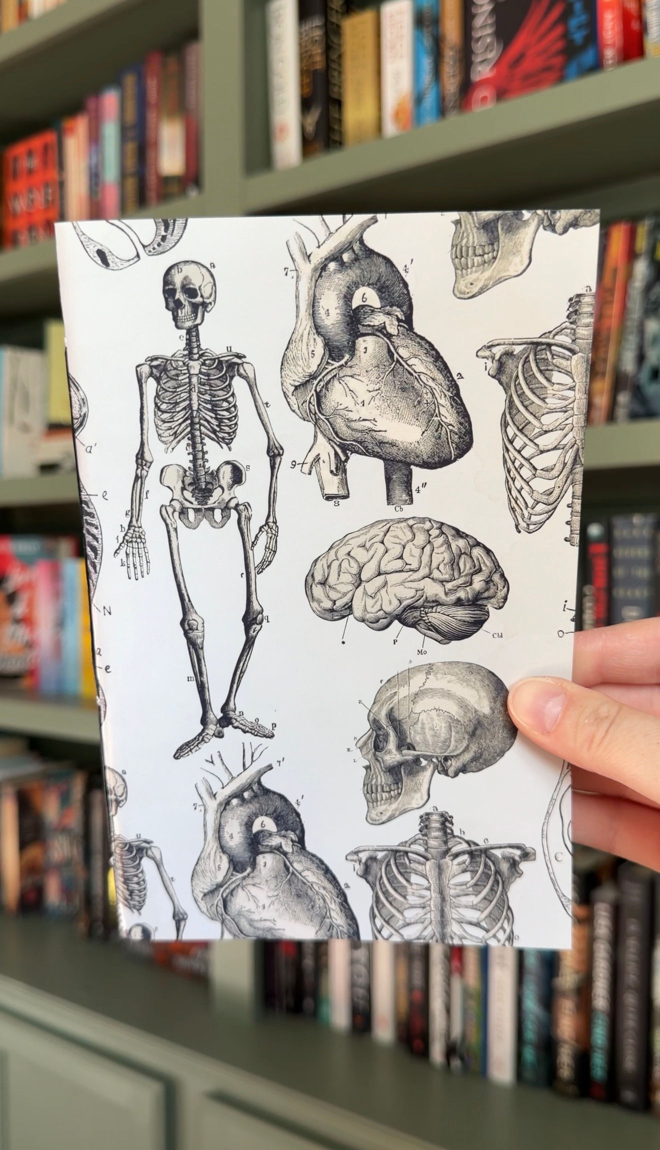 Vintage Anatomical Hand Bound Notebook Inserts