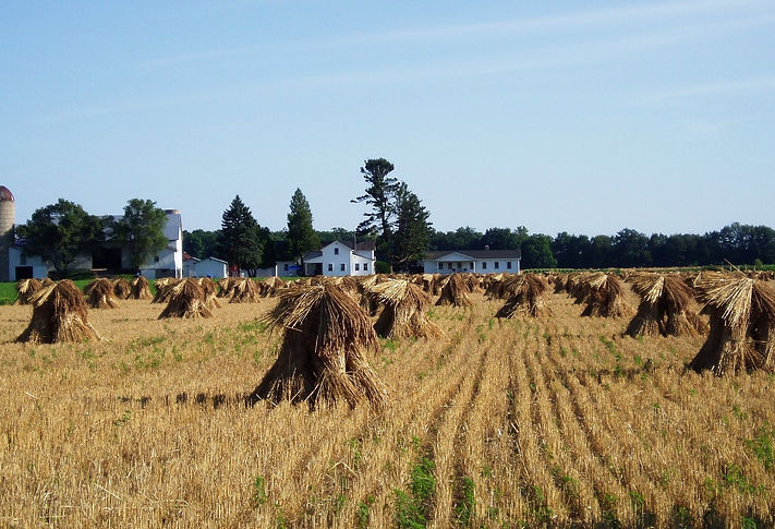 Ohio Farm Country.jpg