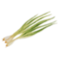 Spring Onion