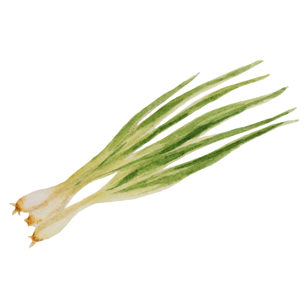 Spring Onion