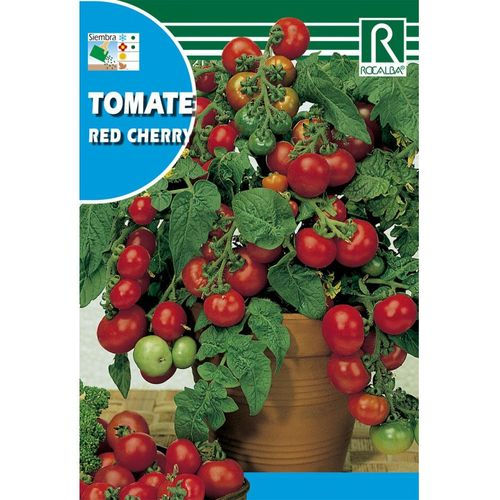 ROCALBA Semences Tomate Cerise- Rouge