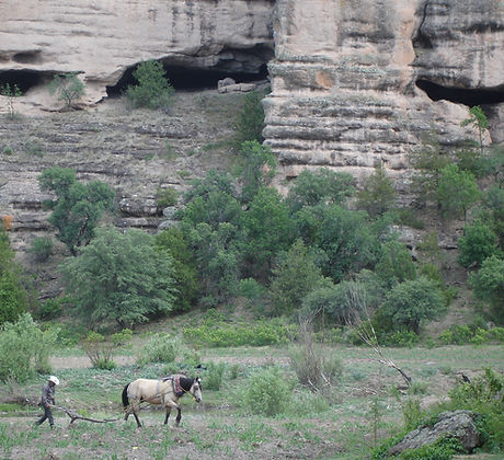 valle de las cuevas.jpg