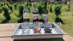 degustacion Basica.jpg