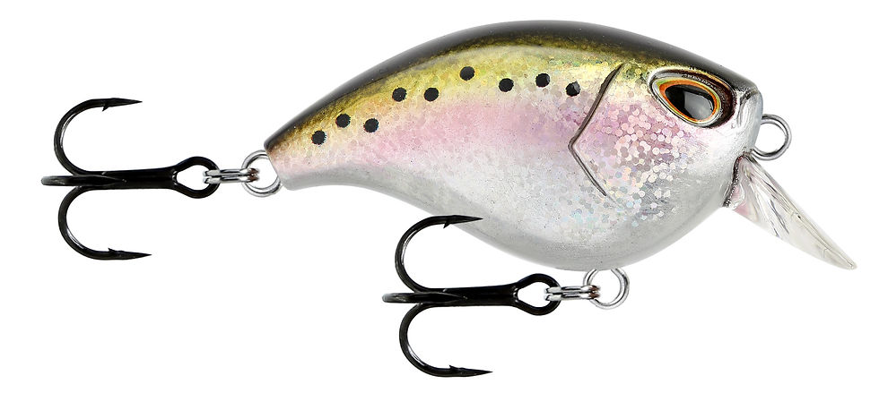 Miniature : GOMOKU CRANK SHALLOW - 4cm - 5g - STORM