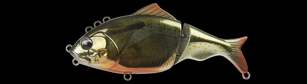 Miniature : SWIMBAIT - FOCUS 130 - BONE