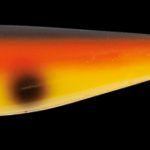 Miniature : Shad - SNACK XL 28cm 140g - SNACK BAITS