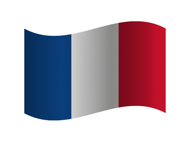 Drapeau français.gif