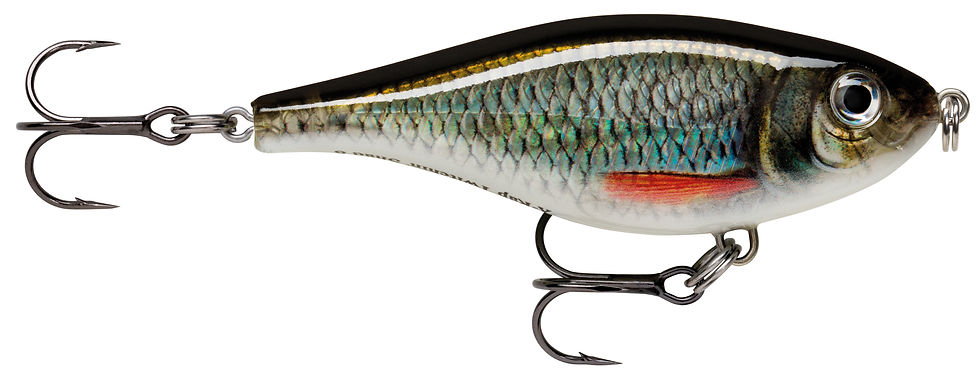Miniature : Jerkbait - XRAP TWITCHIN' SHAD - RAPALA - 8cm - 13g