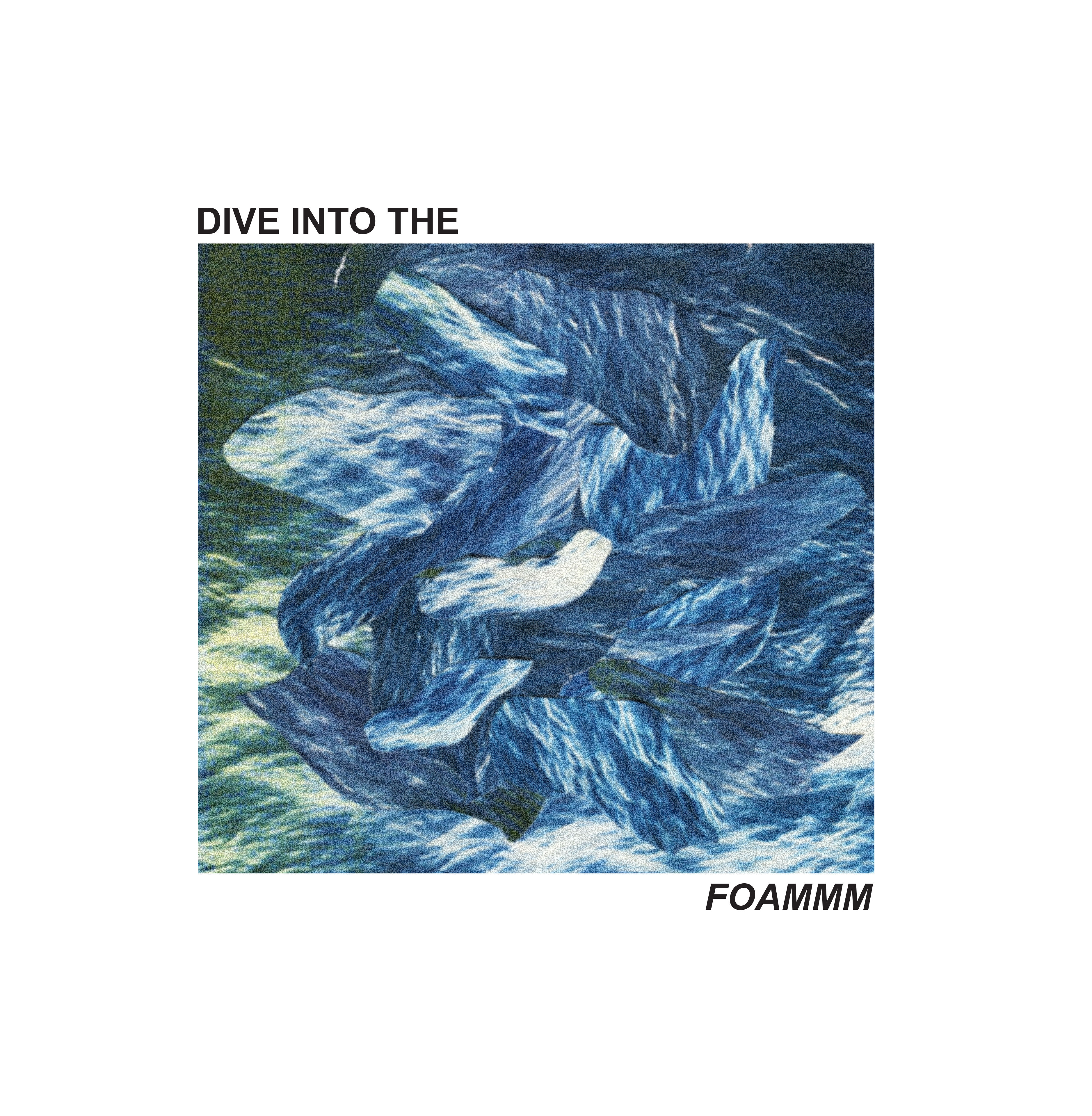 FOAMMM - Dive Into the FOAMMM 12"