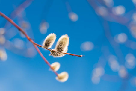 Не много надо человеку