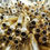Thumbnail: 5.56 Lake City NATO Once-Fired Fully Processed Brass - Out of Stock