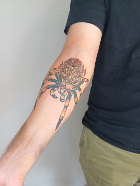 a man has a tattoo of a spider on his arm with the body of the spider as a pincushion protea