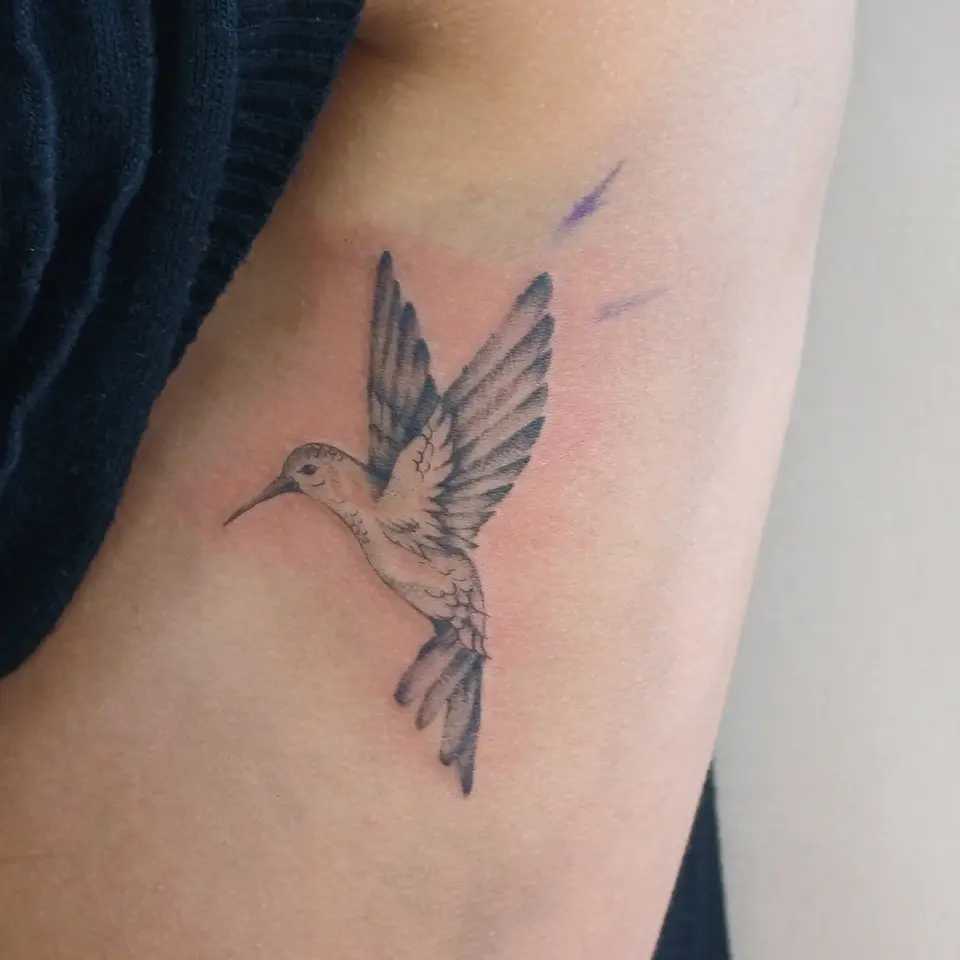 Humming bird