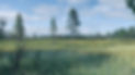 IMG_0485.jpeg
