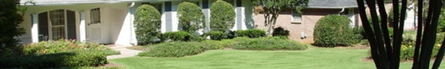 Atlanta-Landscaping-emerald-zoysia-Redwood-Landscapes1.jpg
