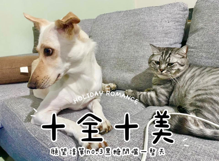 十全十美願望清單 No.3黑糖閉嘴一整天