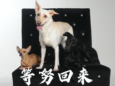 十全十美願望清單No.4跟爸爸聊天|我有遇到sa唷!她已經準備好去...