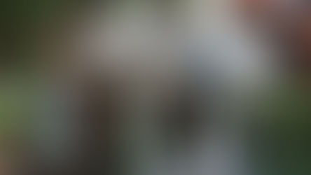 First Week - Dimanche 1er Septembre