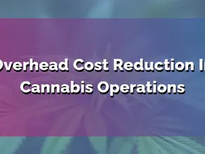 Overhead Cost Reduction In Cannabis Operations
