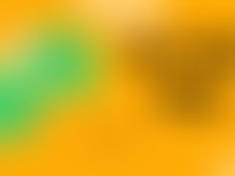 ראיון עם מנכ"ל פליפה: הפלטפורמה הבינלאומית לקניית נדלן דיגיטלי