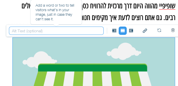 הסבר על ALT TEXT