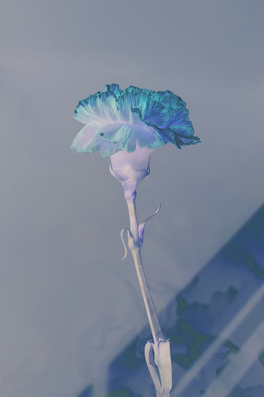 blue.jpg