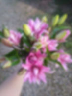 Double Oriental Lily