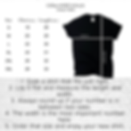 Thumbnail: F Joe Biden, Funny Republican Shirts, Conservative Tees, Political Shirts