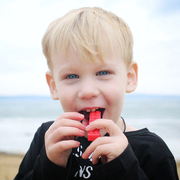 Ark's Brick Stick Chew Necklace (Soft)