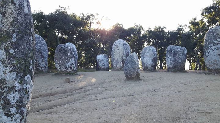 Foto do escritor: Bigas
