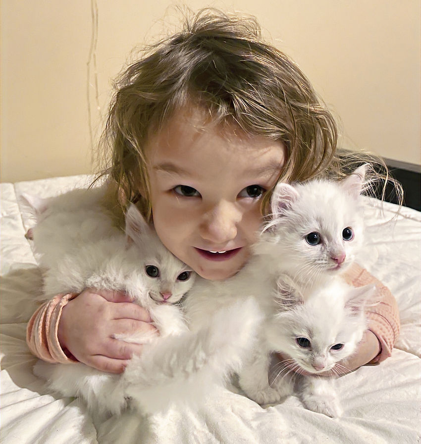 IMG_7449_edited.jpg
