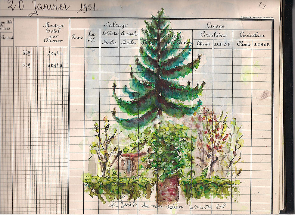Le jardin de mon voisin