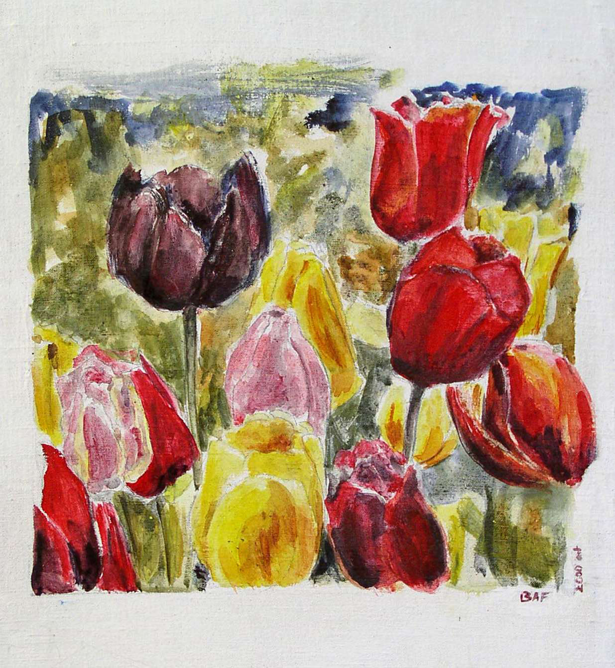 Tulipe